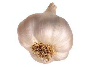 Garlic health benefits